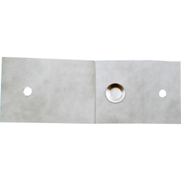 Dischi acciaio G. stearotherm. 7953 10^6