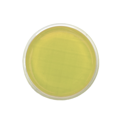 TSA EP USP ISO + 4 neutralizzanti (contact) IRRADIATO