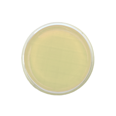 SDA EP USP + 4 neutralizzanti (contact) IRRADIATO