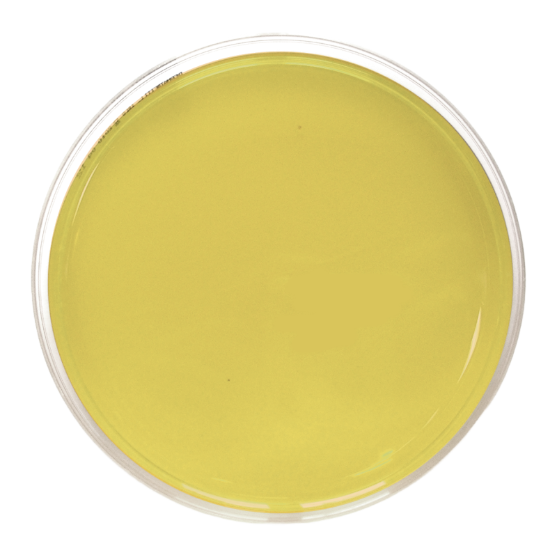 TSA EP USP ISO Doppio involucro (90 mm) IRRADIATO