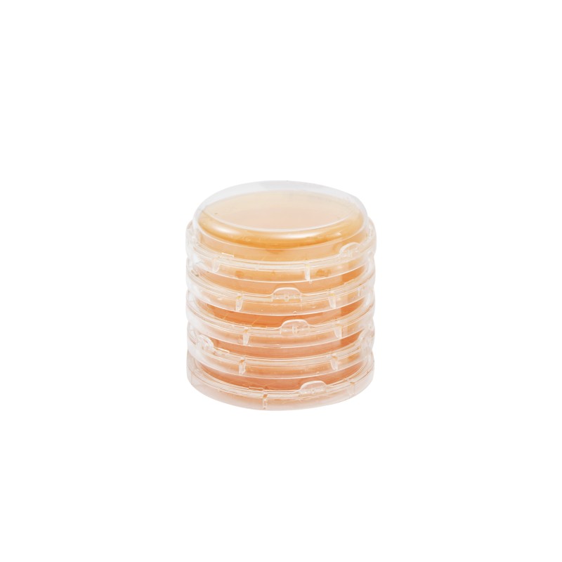TSA EP USP ISO + 4 neutralizzanti (contact) IRRADIATO (Lock&Block)