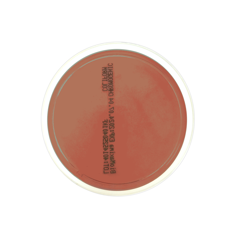 Clark Agar Unichim (90 mm)