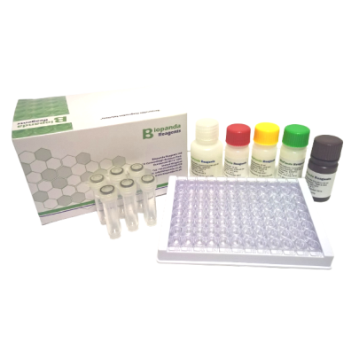 AHD ELISA Kit