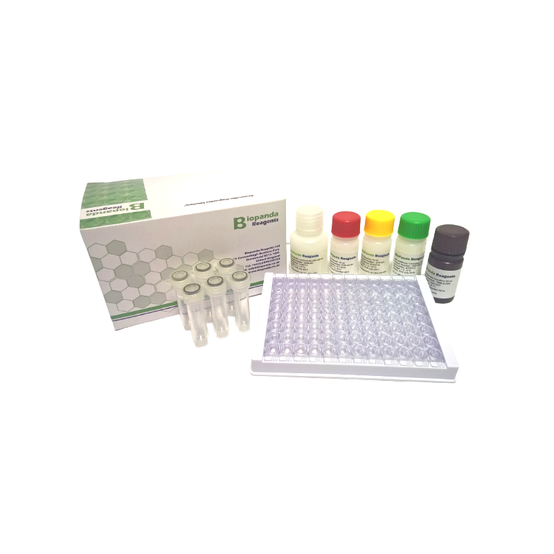 Deoxynivalenol ELISA kit