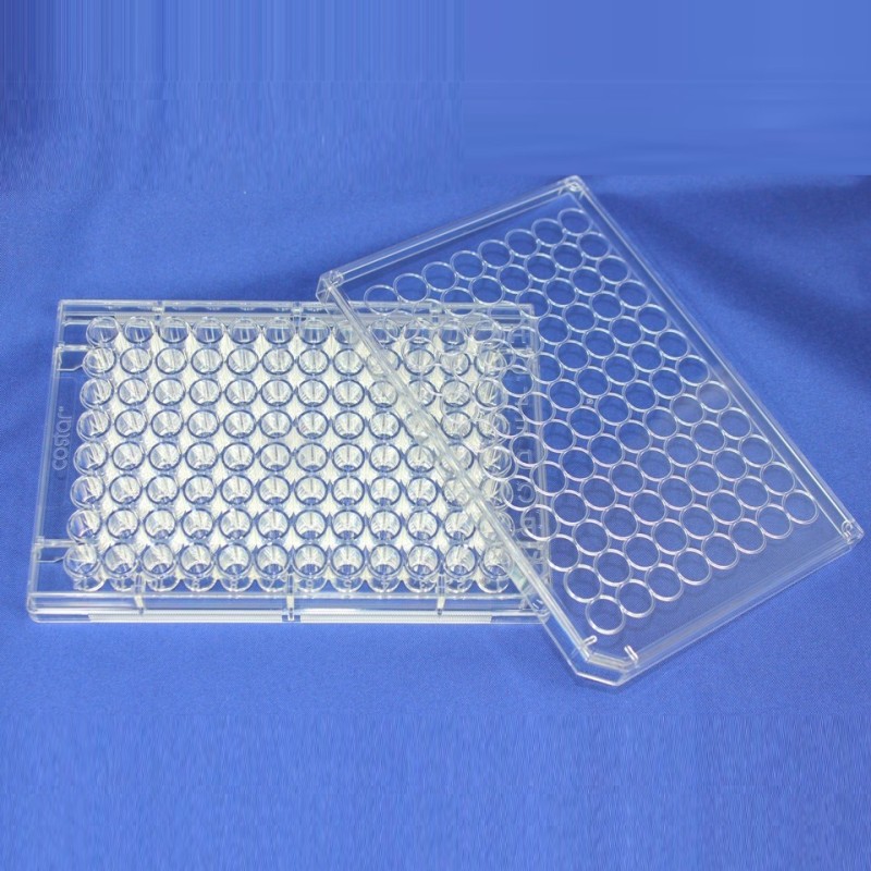 PYROPLATE Micropiastre apirogene per LAL test Cinetico