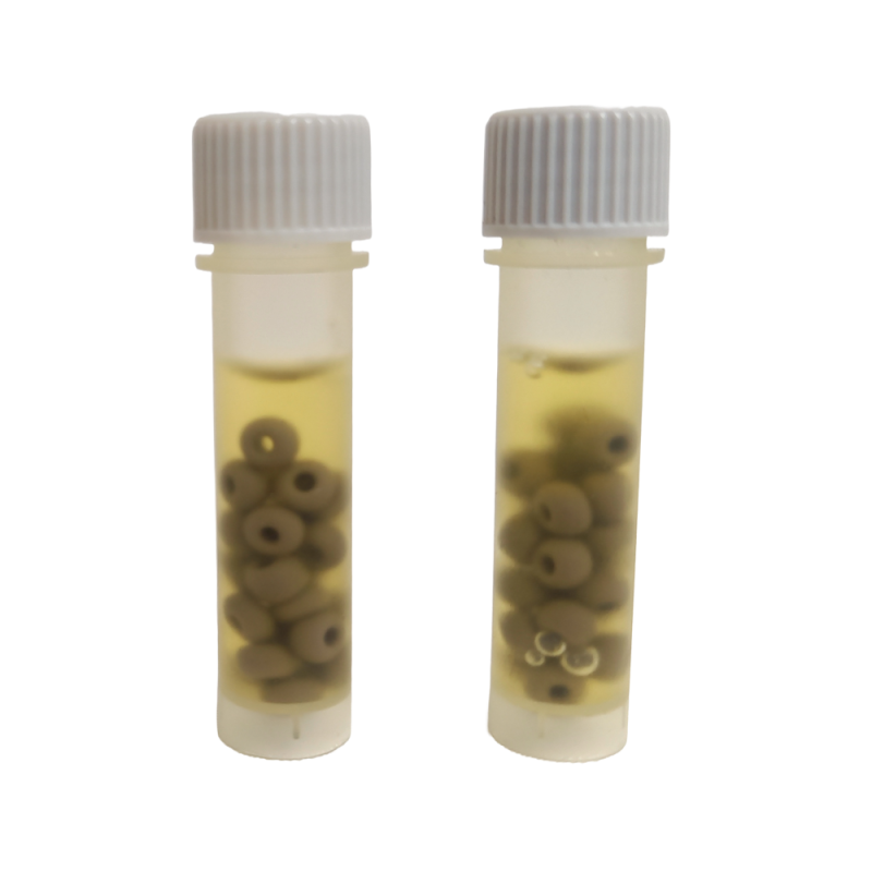 Protect Select Funghi e lieviti grigio