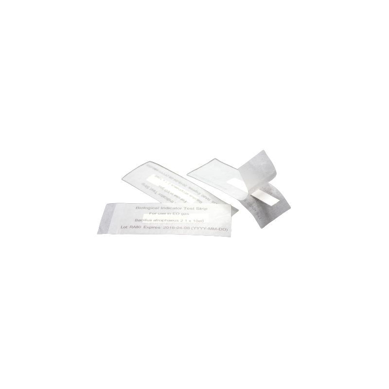 Strip con G. stearothermophilus 7953 10^6