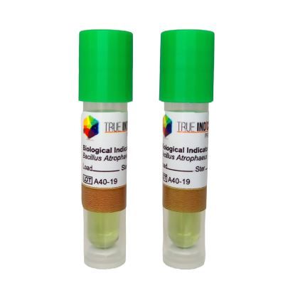 Mini SCBI Bacillus atrophaeus 9372 10^6