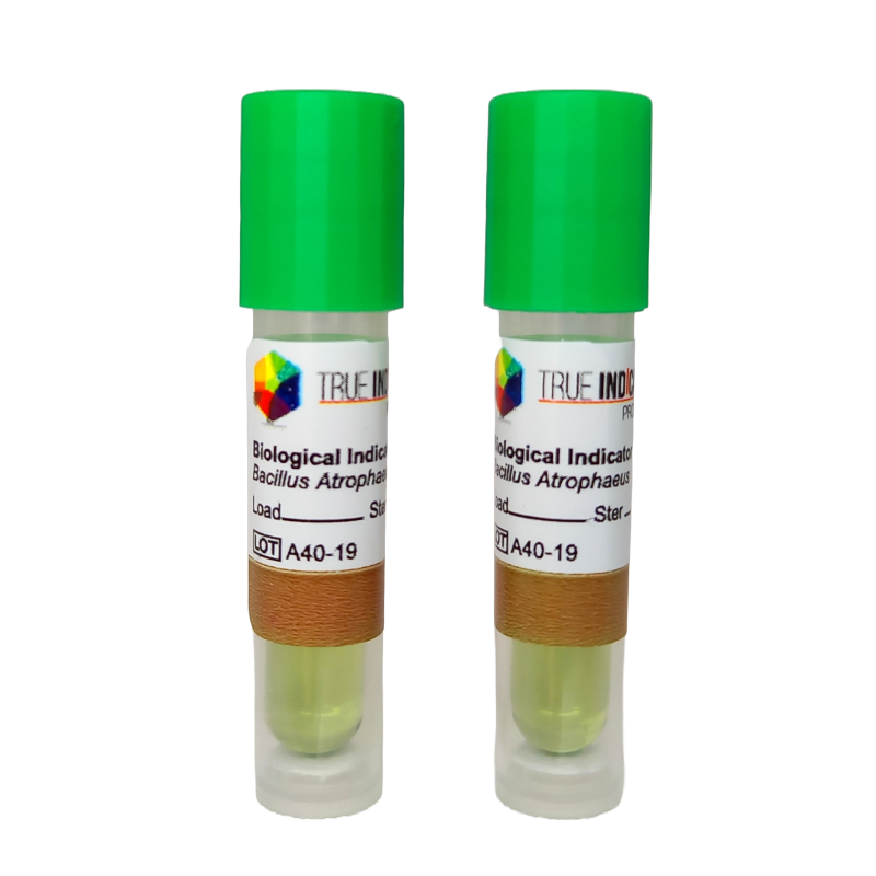Mini SCBI Bacillus atrophaeus 9372 10^6