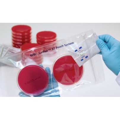 BD GasPak EZ Anaerobe Pouch System