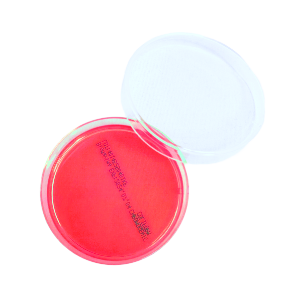 Stenotrophomonas Maltophilia Agar (60 mm)