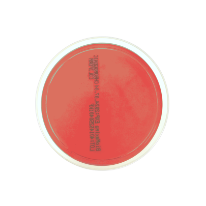 Stenotrophomonas Maltophilia Agar (60 mm)