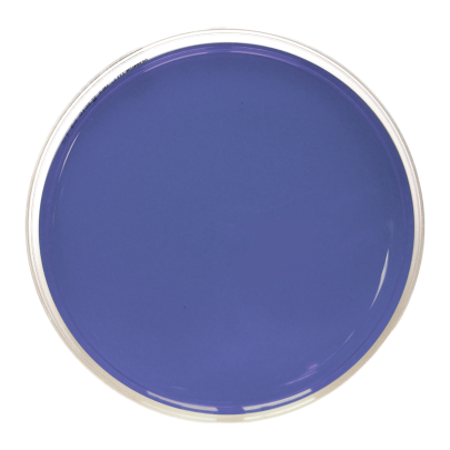 DNAse Agar with Toluidine blue (90 mm)