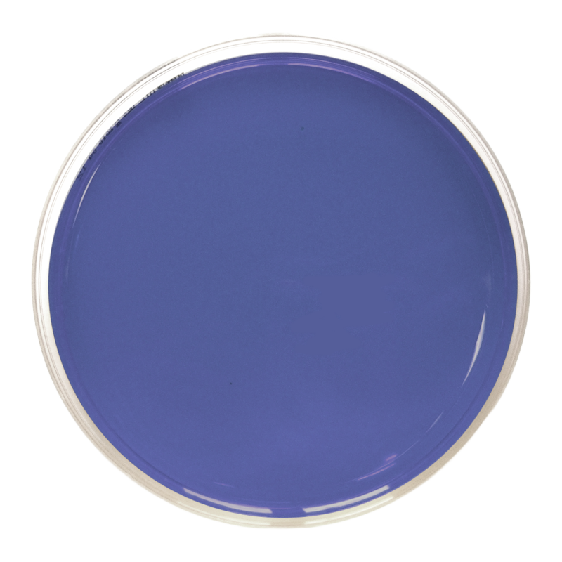 DNAse Agar with Toluidine blue (90 mm)