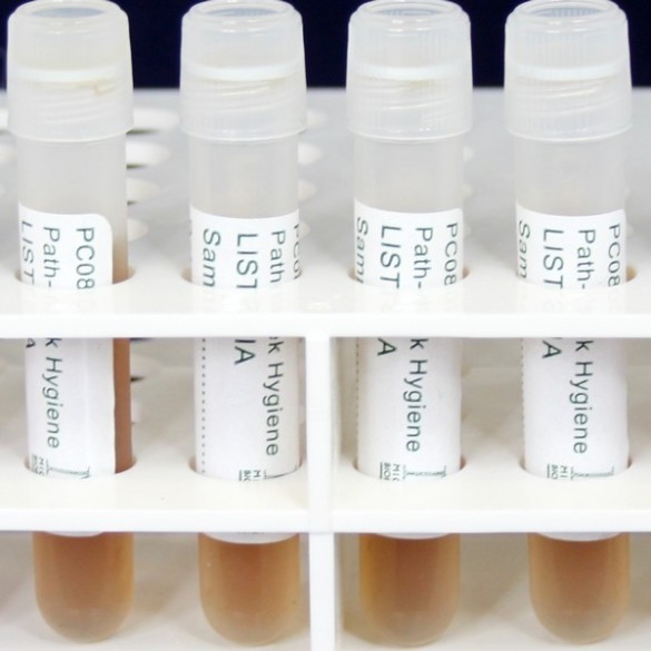 SwabSure Listeria spp