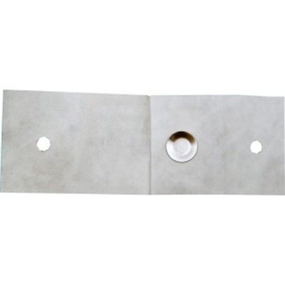 Dischi acciaio G. stearotherm. 12980 10^6