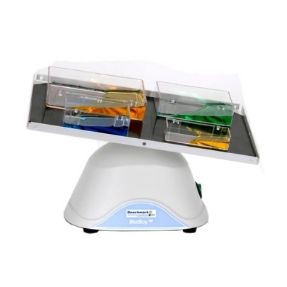 Agitatore Mini BlotBoy™ 3D