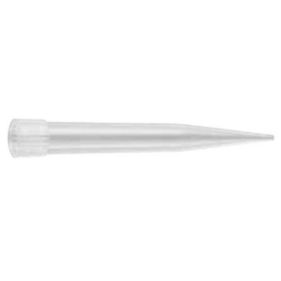 Puntali 20-200 µl