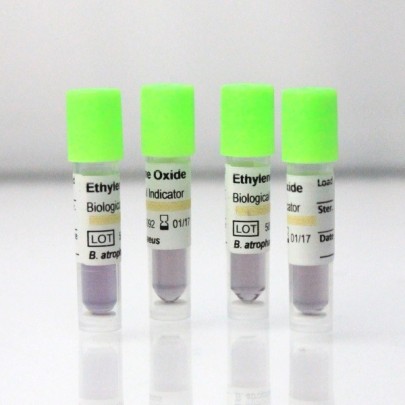 SCBI con Bacillus atrophaeus NRRL B-4418 10^6