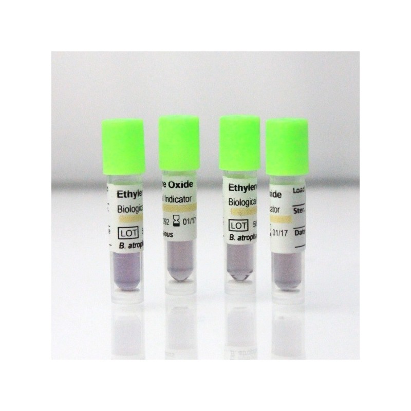 SCBI con Bacillus atrophaeus NRRL B-4418 10^6