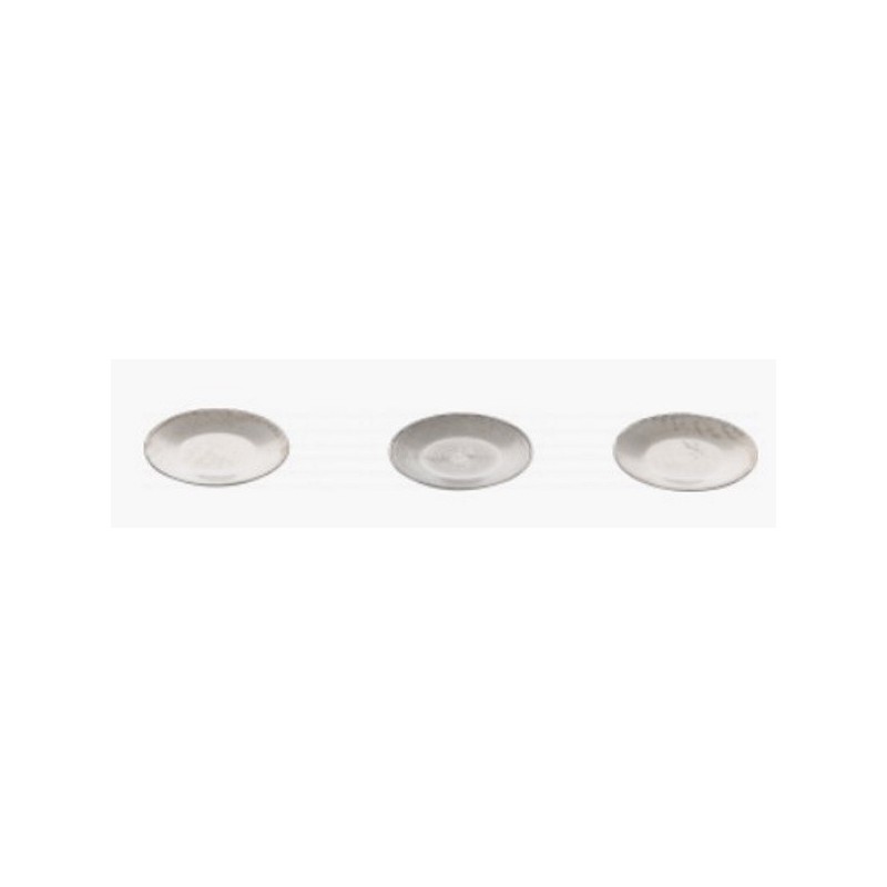 Stainless steel discs G. stearothermophilus 12980 10^6