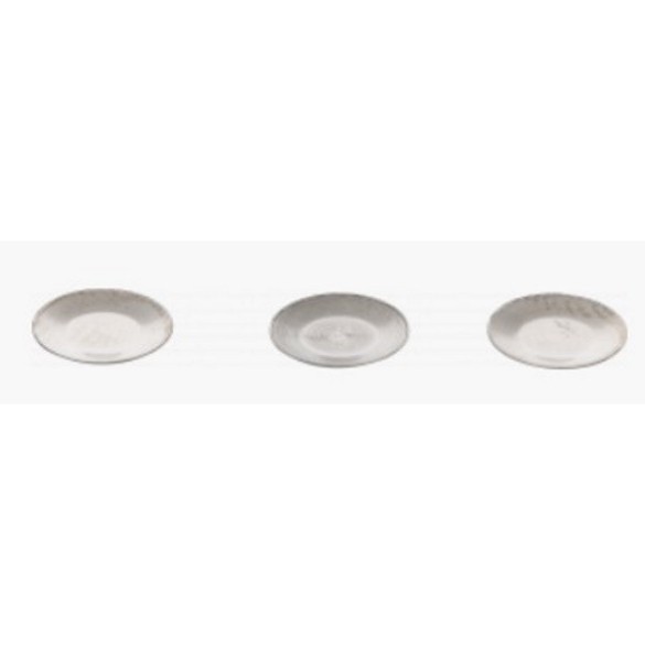 Stainless steel discs G. stearothermophilus 12980 10^6