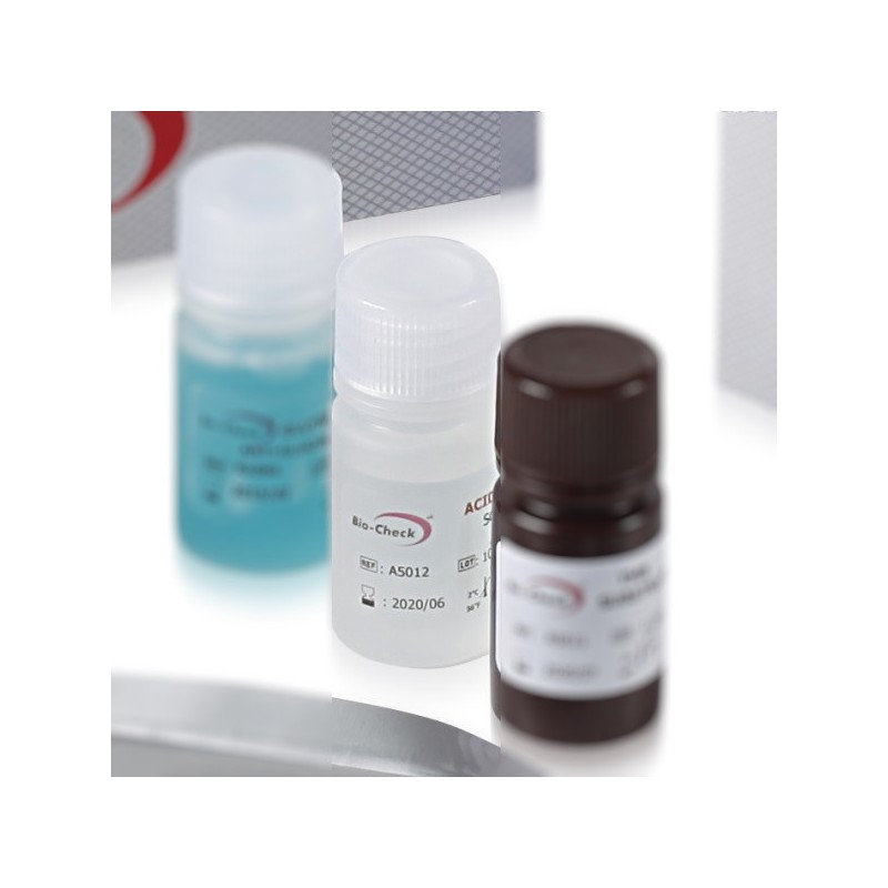 Gluten Extraction Kit