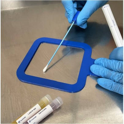 SwabSure Salmonella 2