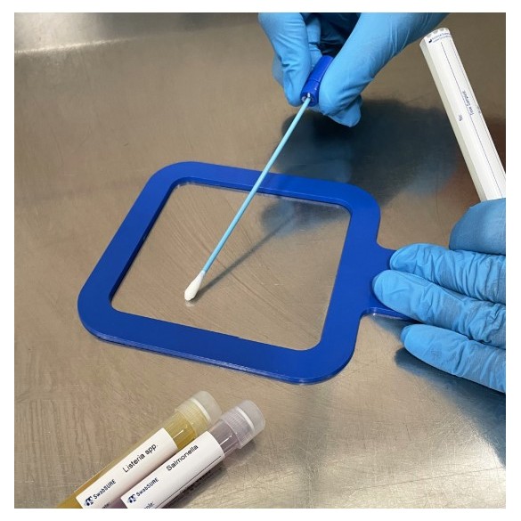 SwabSure Listeria spp