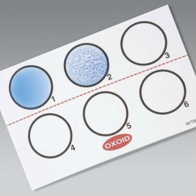 Thermo Scientific™ Oxoid Test al lattice per Legionella