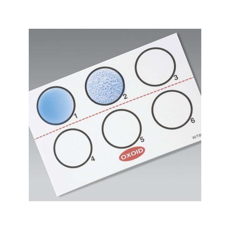 Thermo Scientific™ Oxoid Test al lattice per Legionella