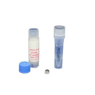 Bacillus spizizenii ATCC 6633
