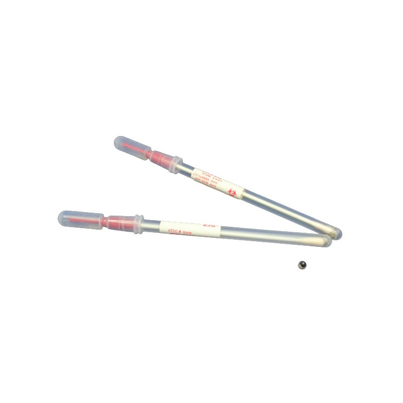 MicroSwab Plus Neisseria gonorrhoeae ATCC 49981