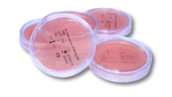 Ready media in irradiated plates for clean rooms