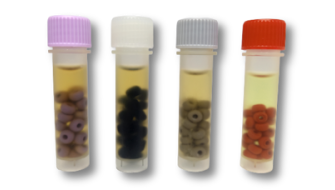 Kit per conservazione microrganismi Protect Select