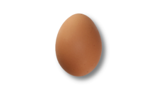 Egg in foods and surfaces
