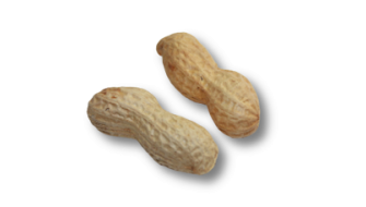Arachide in alimenti e superfici