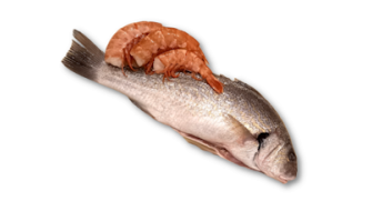 Fish and seafood in foods and surfaces