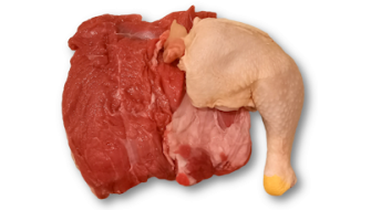 Species identification in foods and surfaces