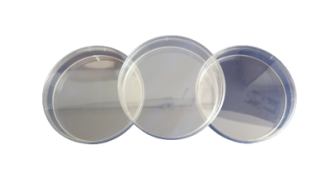 Petri dishes for cultures