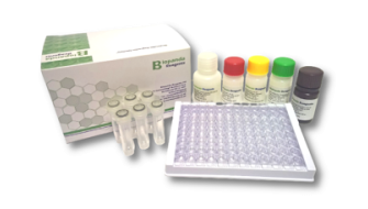 Test ELISA per ricerca micotossine