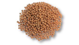 Mustard in foods and surfaces