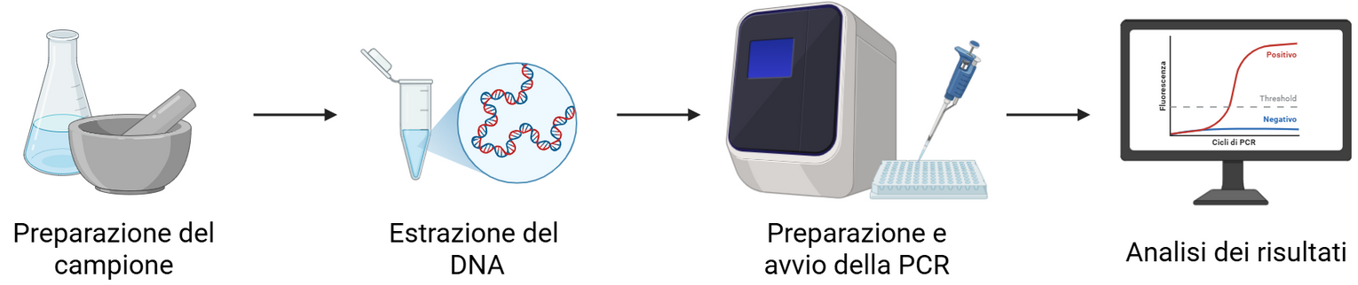 PCR.png
