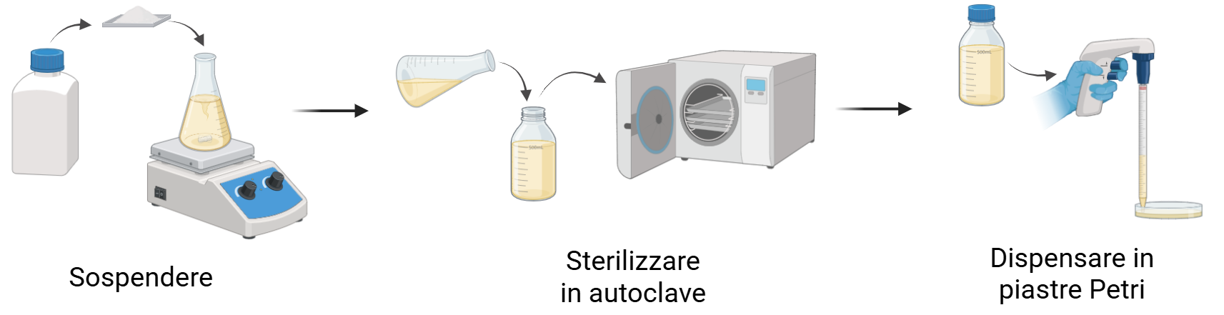 Terreni.png
