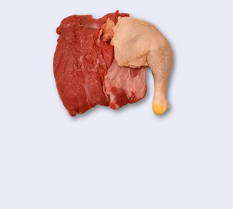 Identificazione specie di carne