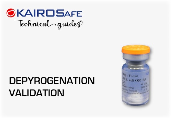 Endotoxins for validation of the depyrogenation process